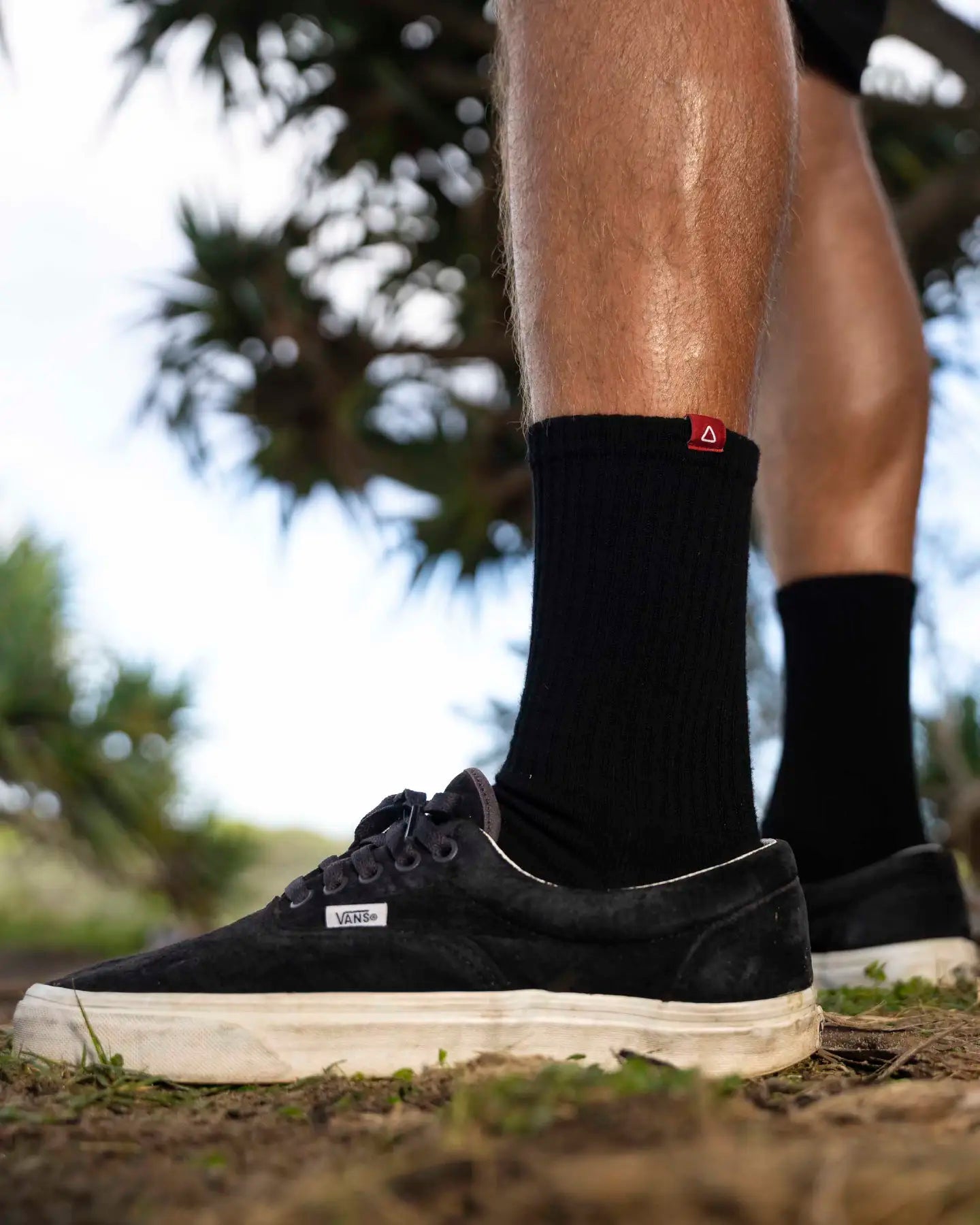 Follow All Day Socks - Black 2