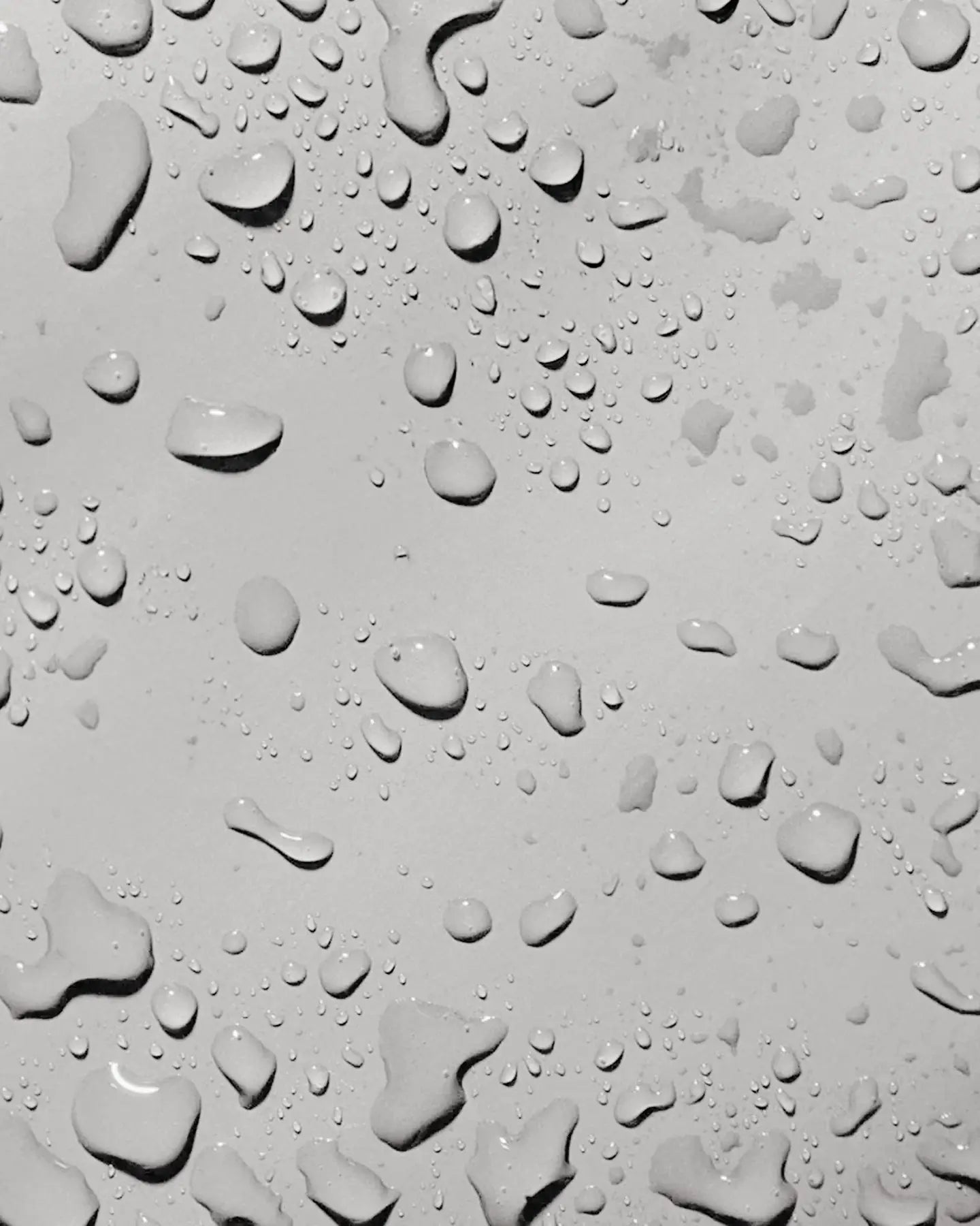 Follow Life Board Travel Bag - Light Grey 4